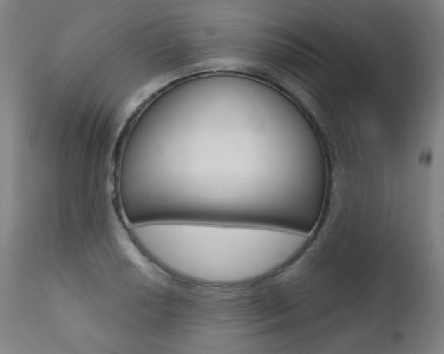X0000111381034200907100932