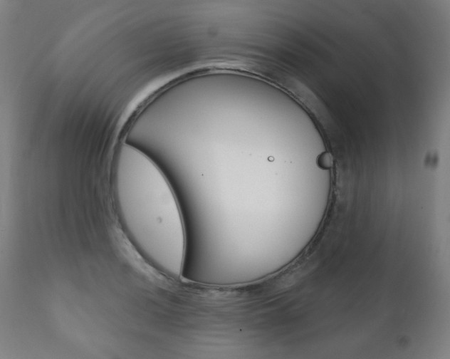 X0000111381036200907100932