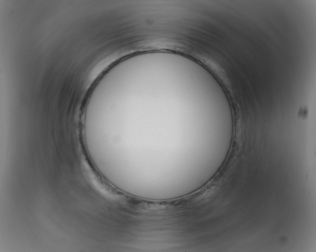 X0000111381039200907100932