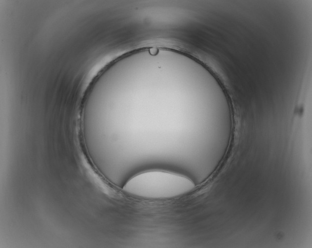 X0000111381040200907100932
