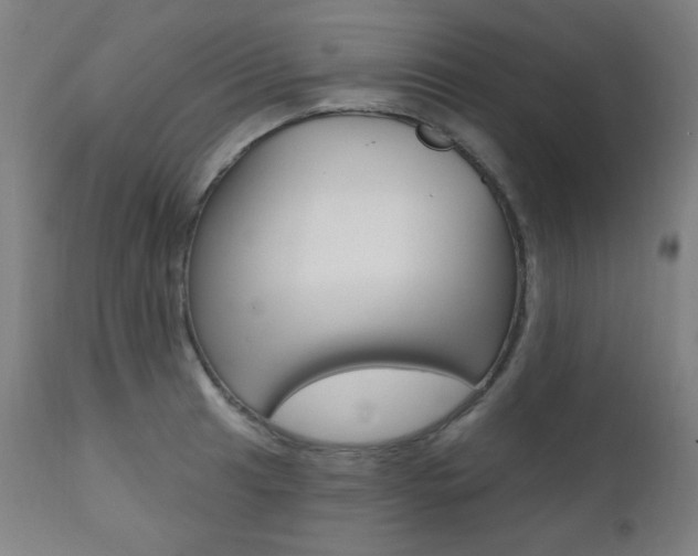 X0000111381041200907100932