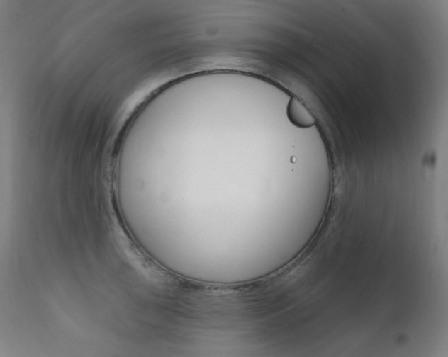 X0000111381043200907100932