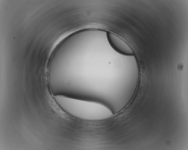 X0000111381044200907100933
