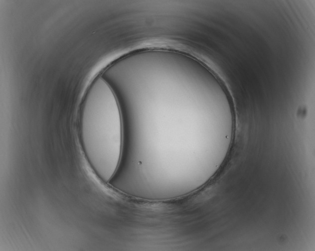 X0000111381045200907100933