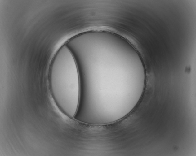 X0000111381046200907100933