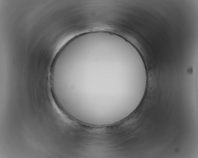 X0000111381047200907100933