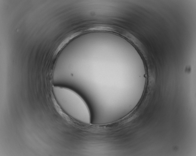 X0000111381049200907100933