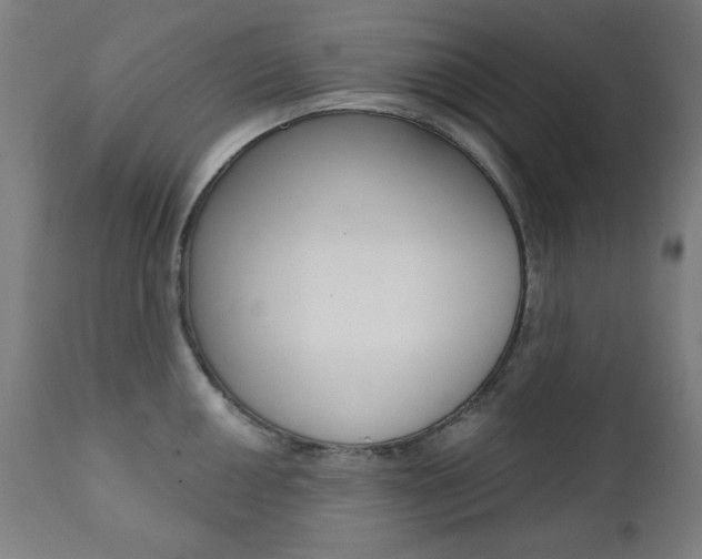 X0000111381050200907100933