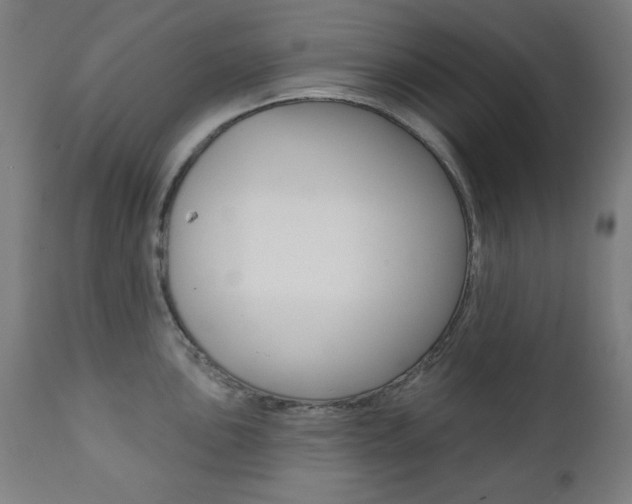 X0000111381051200907100933
