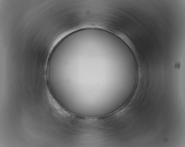 X0000111381052200907100933
