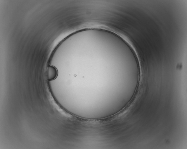 X0000111381053200907100933