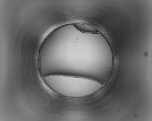 X0000111381054200907100933
