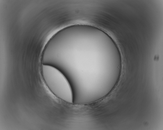 X0000111381056200907100933