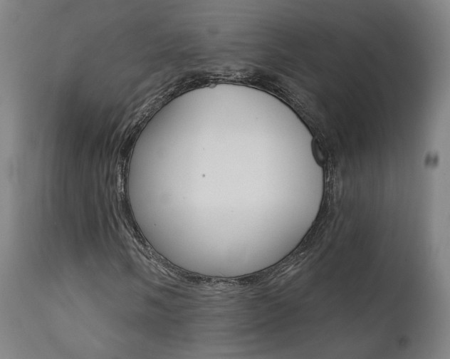 X0000111381058200907100932