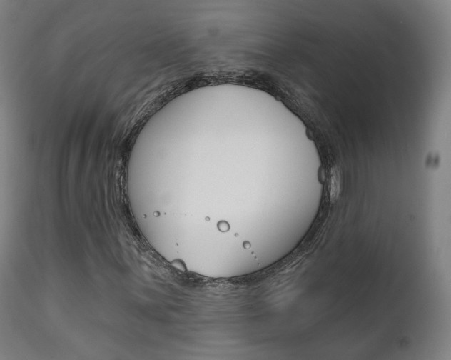 X0000111381059200907100932