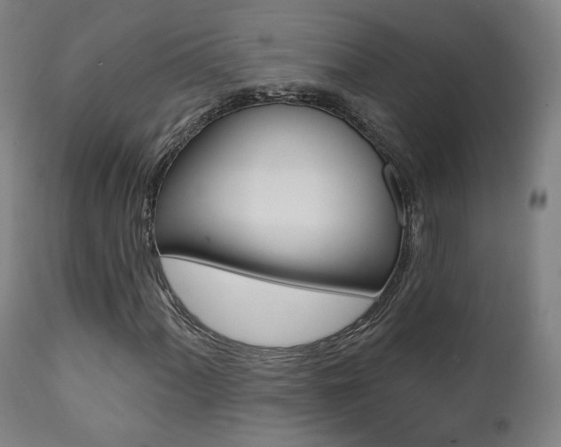 X0000111381060200907100932
