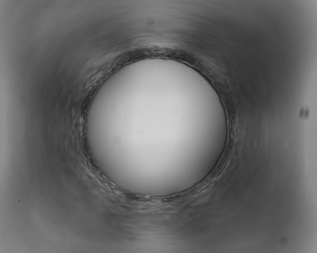 X0000111381061200907100932