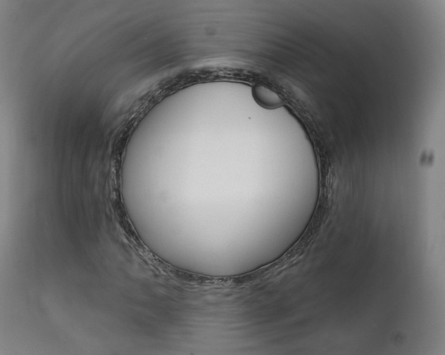 X0000111381062200907100932