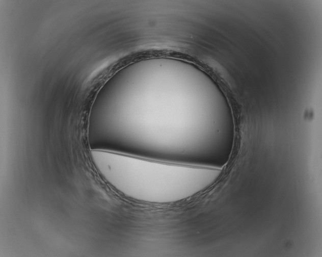 X0000111381064200907100932