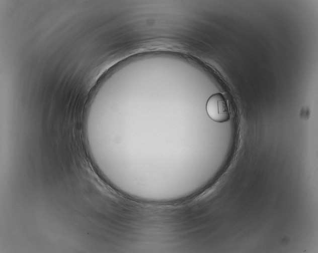 X0000111381065200907100932