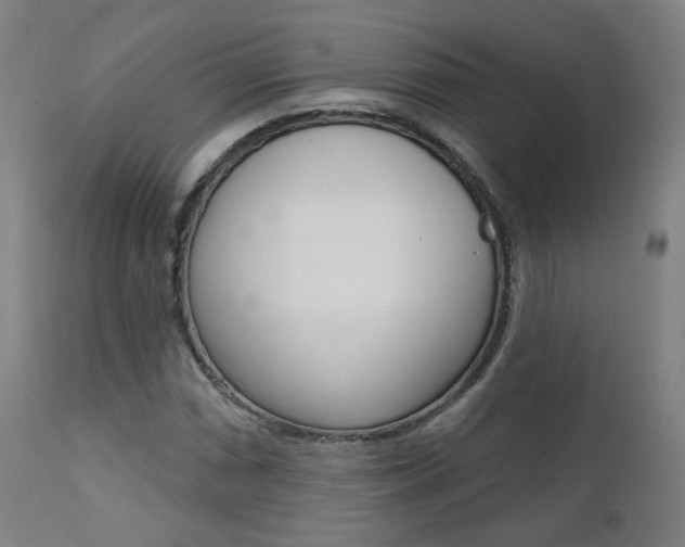 X0000111381066200907100932
