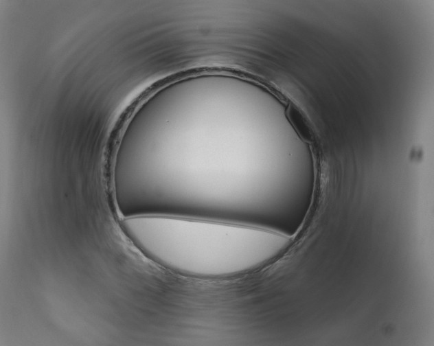 X0000111381068200907100932