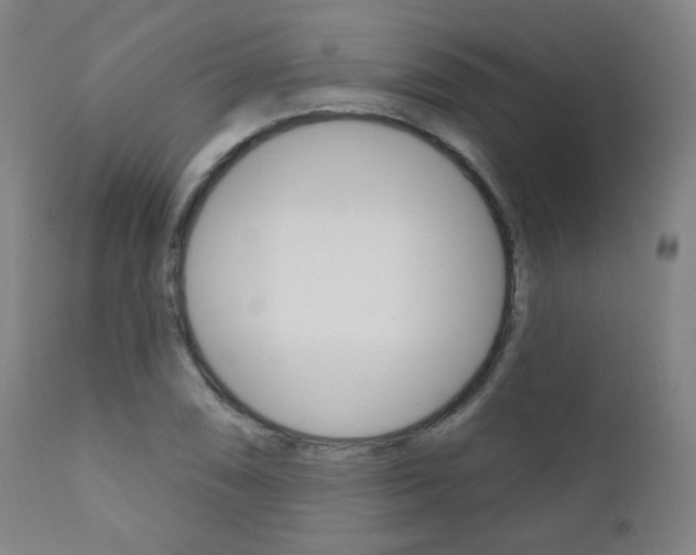 X0000111381074200907100932