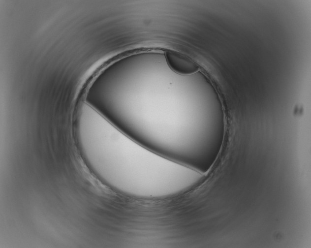 X0000111381076200907100932
