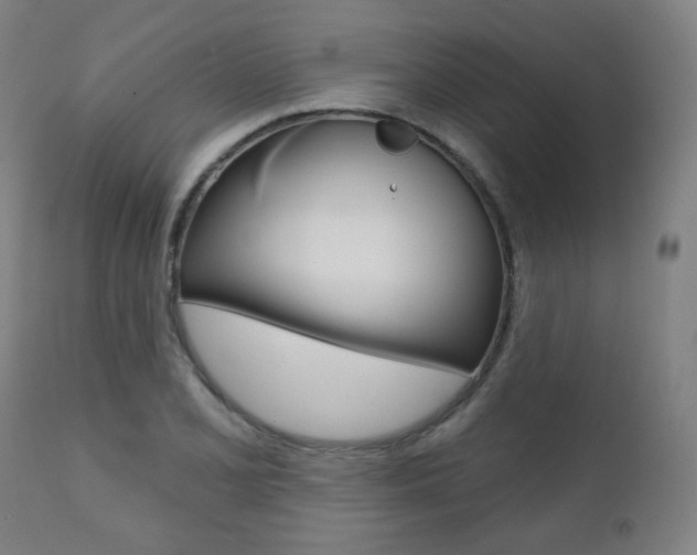 X0000111381077200907100932
