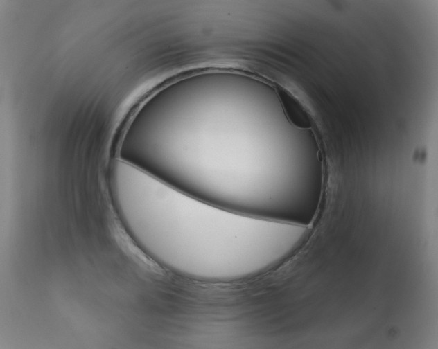 X0000111381080200907100932