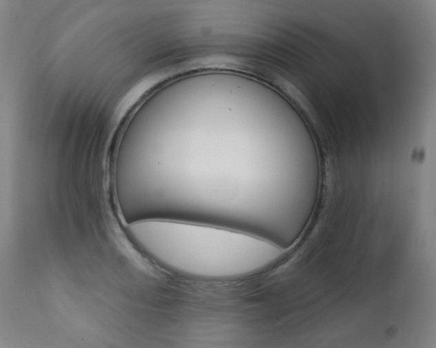 X0000111381082200907100932