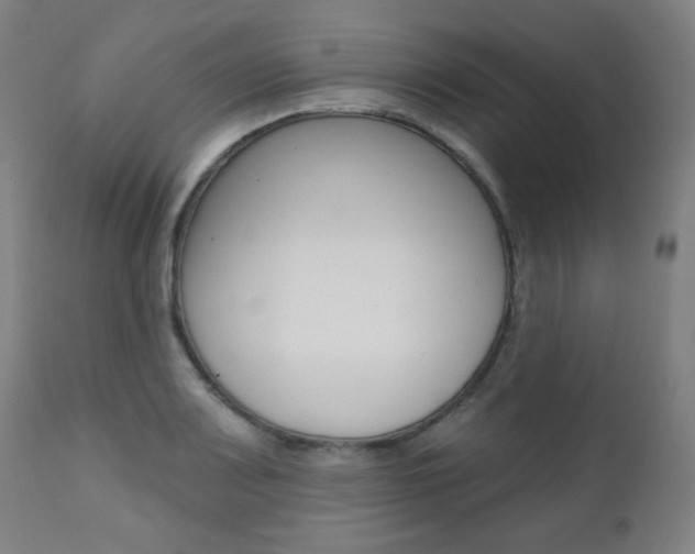 X0000111381083200907100932