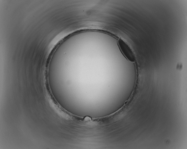X0000111381085200907100932