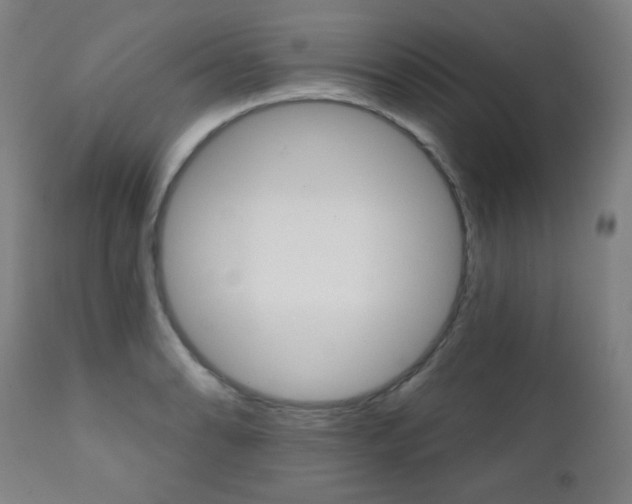 X0000111381086200907100932