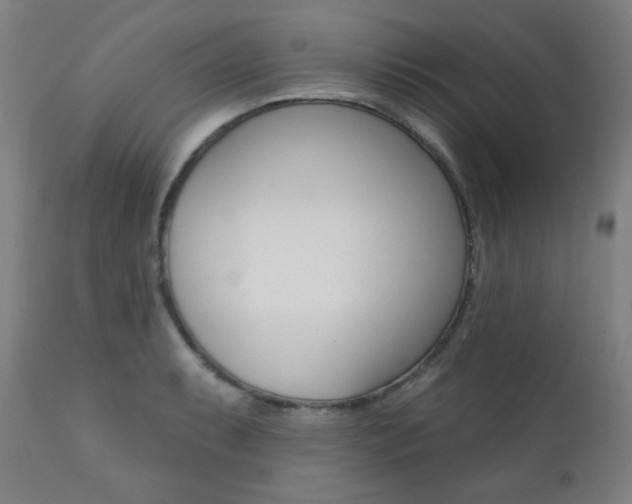 X0000111381087200907100932
