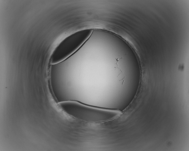 X0000111381088200907100932