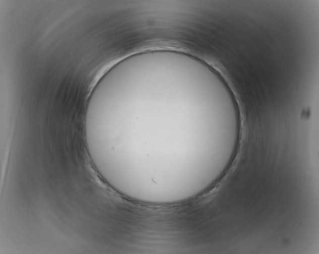X0000111381089200907100932