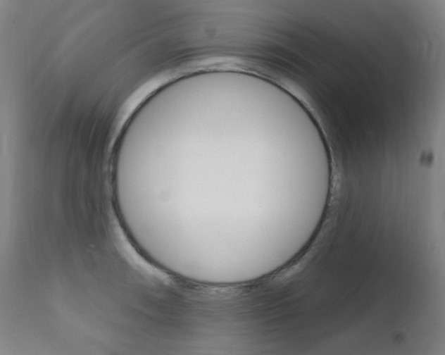 X0000111381090200907100932