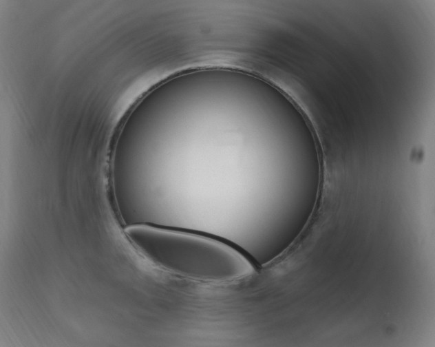 X0000111381093200907100932