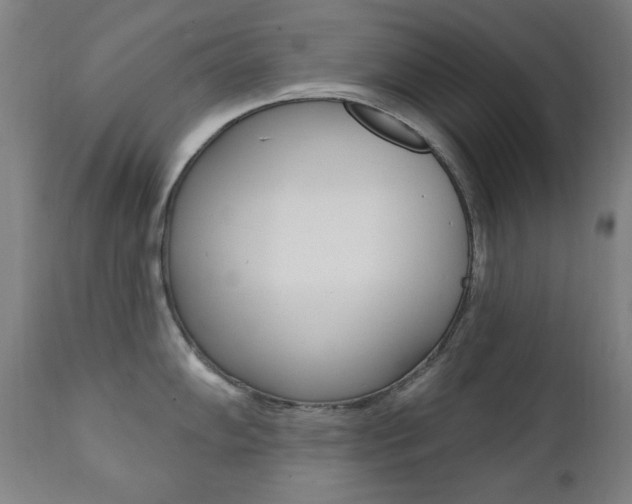X0000111381102200907100931