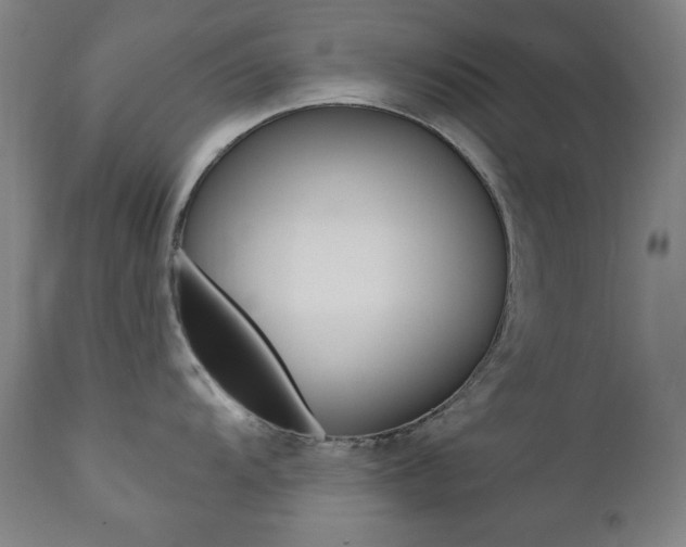 X0000111381104200907100931