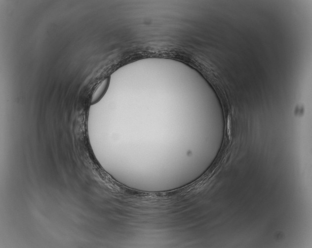 X0000111381107200907100931