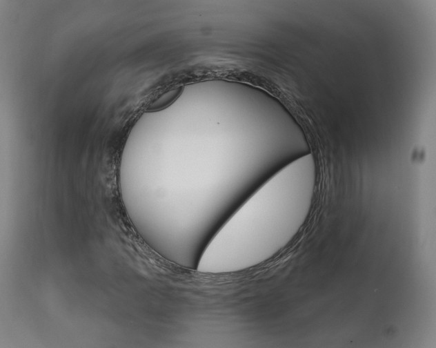 X0000111381109200907100931
