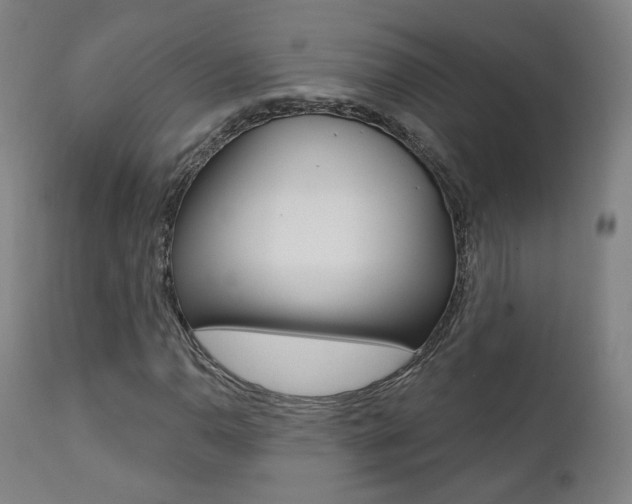 X0000111381110200907100931