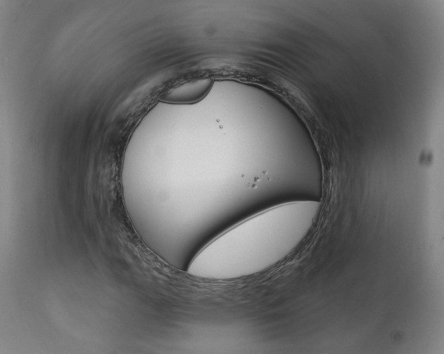 X0000111381111200907100931