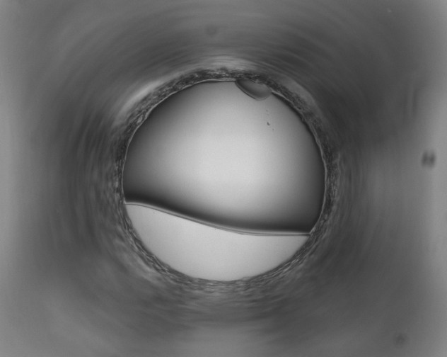 X0000111381112200907100931