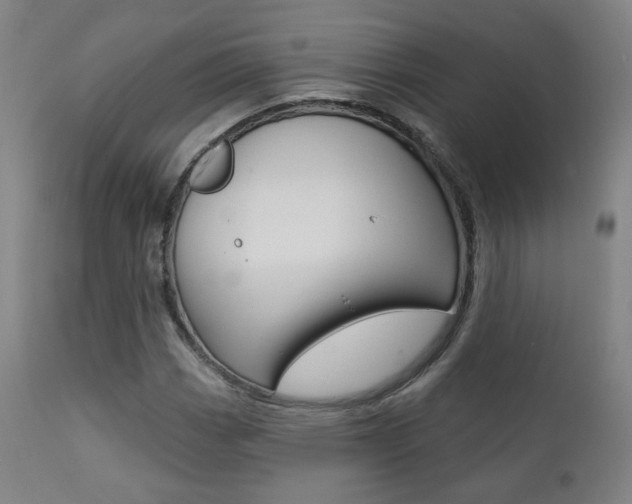 X0000111381113200907100931