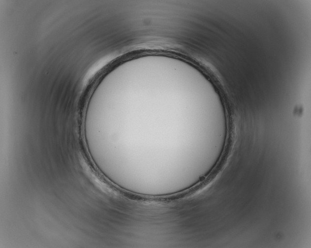 X0000111381114200907100931