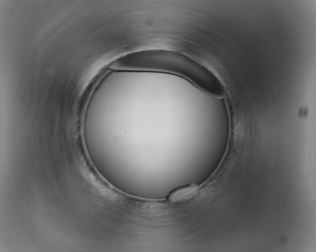 X0000111381116200907100931