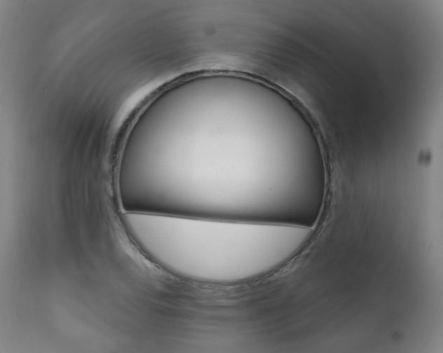 X0000111381120200907100931